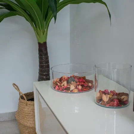 Apartment Gracioseros Luxury *